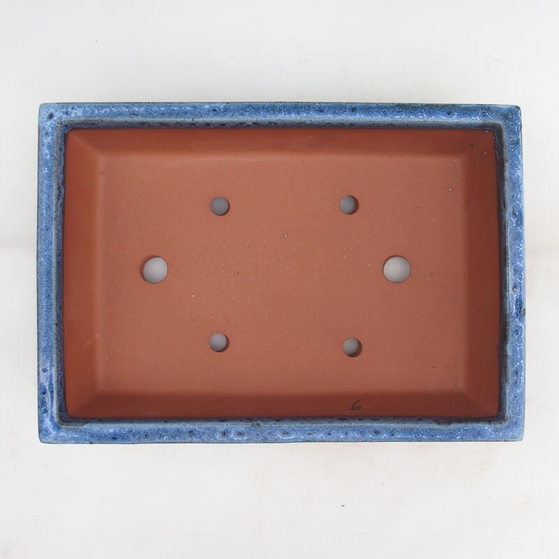 Bol pour bonsaï 31 x 22 x 8 cm, couleur bleu