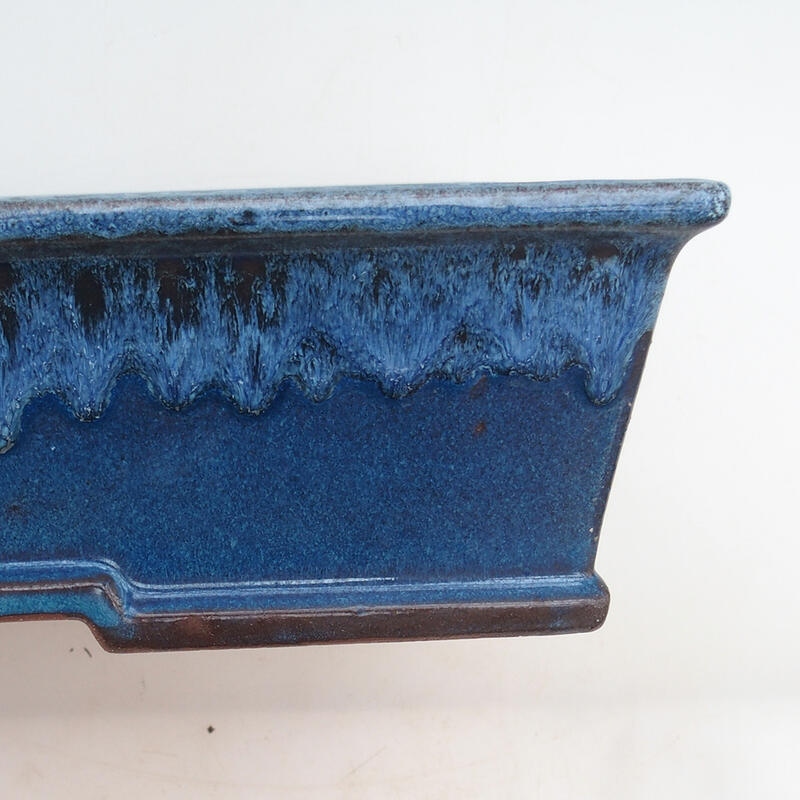 Bol pour bonsaï 31 x 22 x 8 cm, couleur bleu