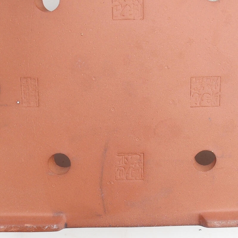 Bol pour bonsaï 31 x 22 x 8 cm, couleur bleu