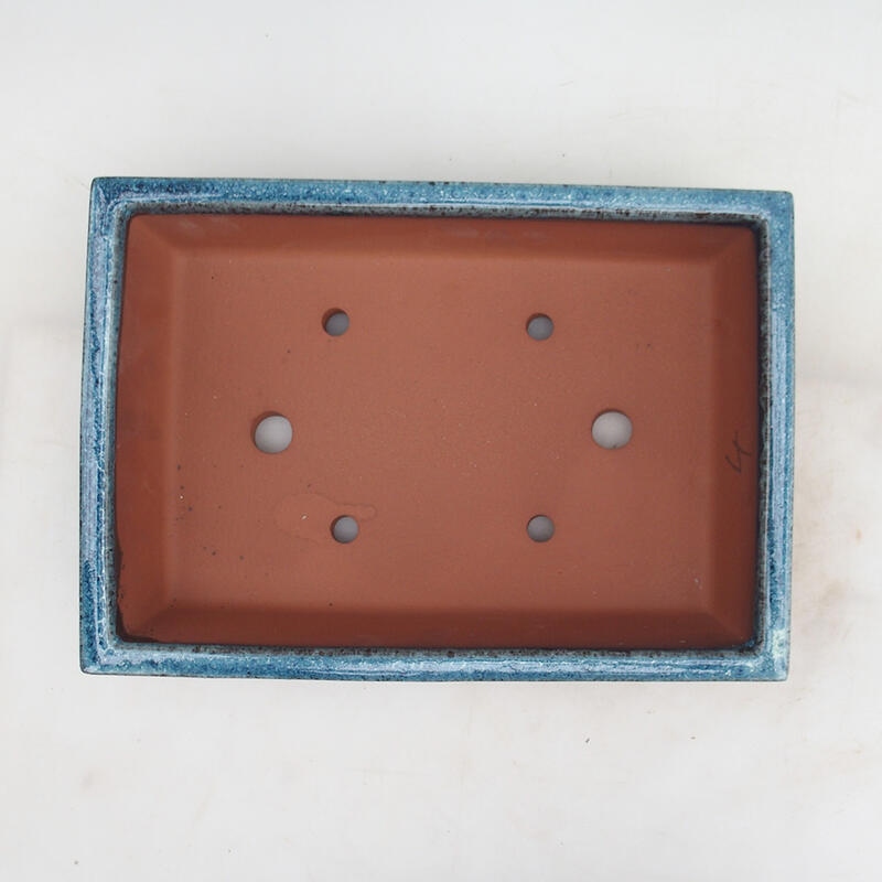 Bol pour bonsaï 31 x 22 x 8 cm, couleur bleu-blanc