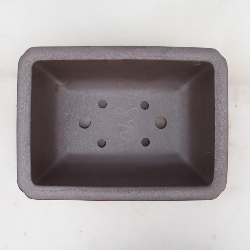 Bol pour bonsaï 31 x 23 x 12 cm, couleur naturelle