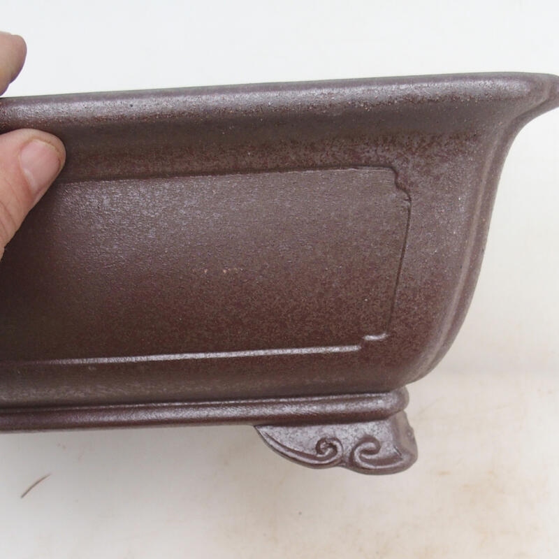 Bol pour bonsaï 31 x 23 x 12 cm, couleur naturelle