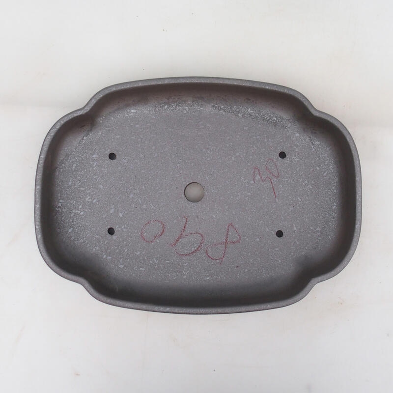 Bol pour bonsaï 31 x 23 x 5,5 cm, couleur naturelle