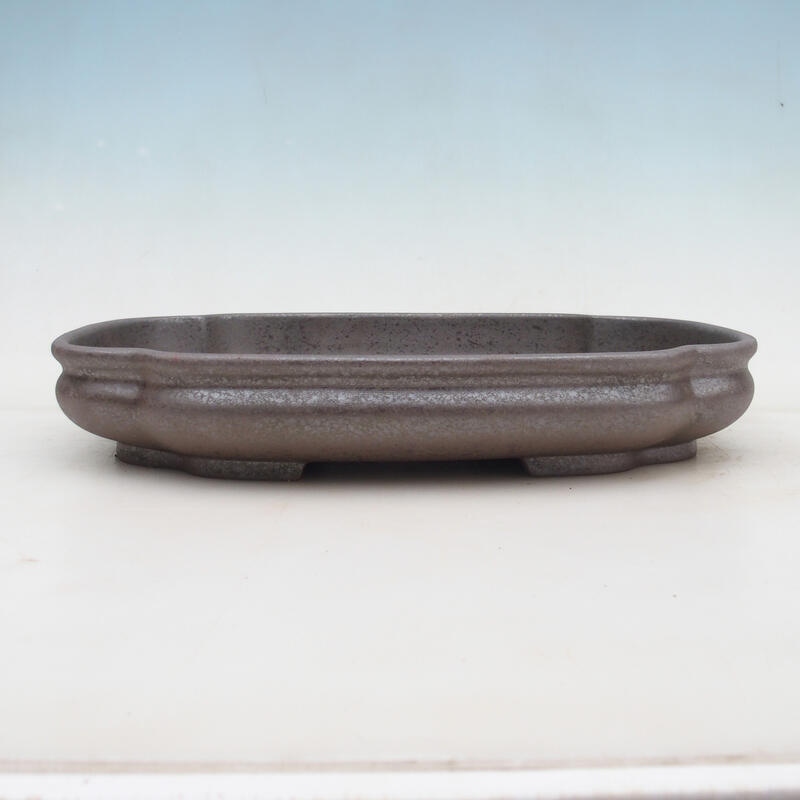 Bol pour bonsaï 31 x 23 x 5,5 cm, couleur naturelle