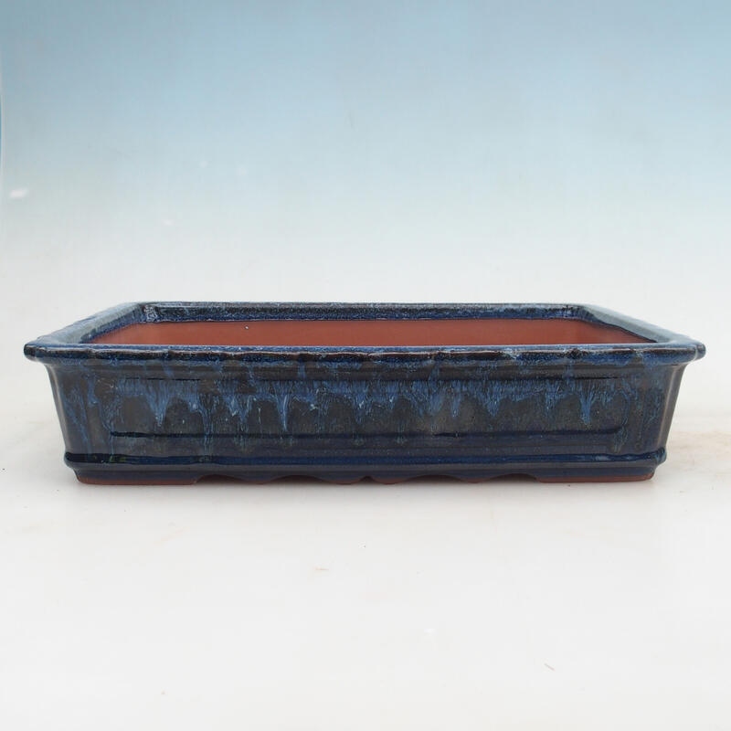 Bol pour bonsaï 31 x 23 x 6,5 cm, couleur bleu