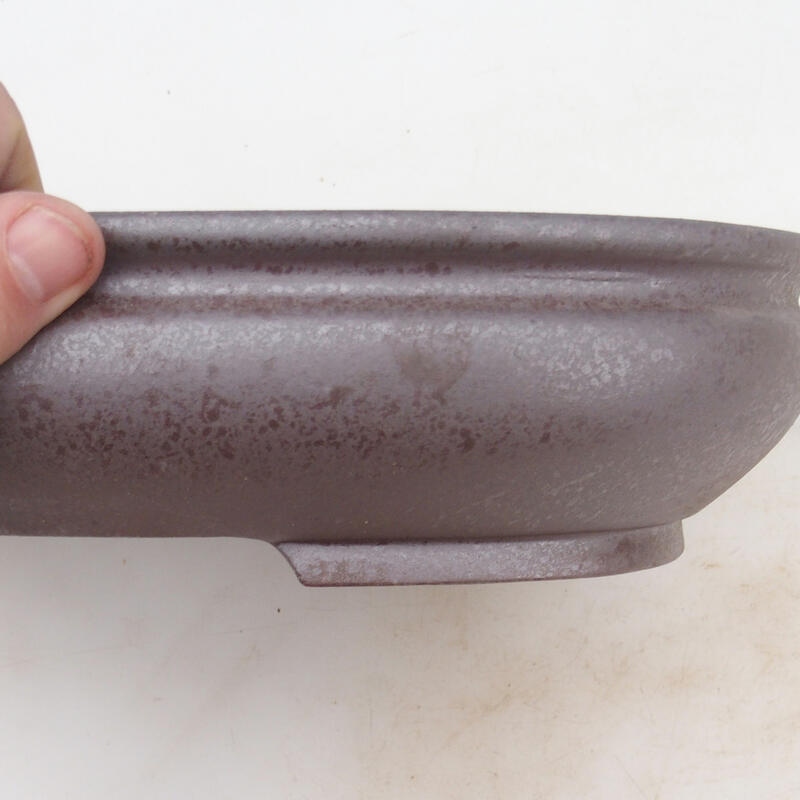 Bol pour bonsaï 31 x 23 x 6,5 cm, couleur naturelle