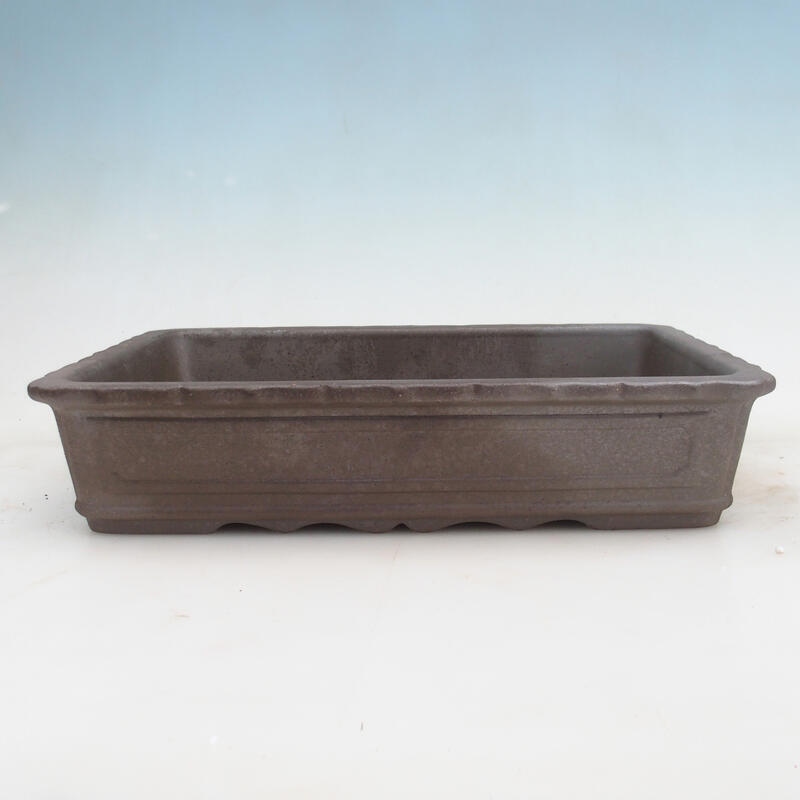 Bol pour bonsaï 31 x 23 x 6,5 cm, couleur naturelle