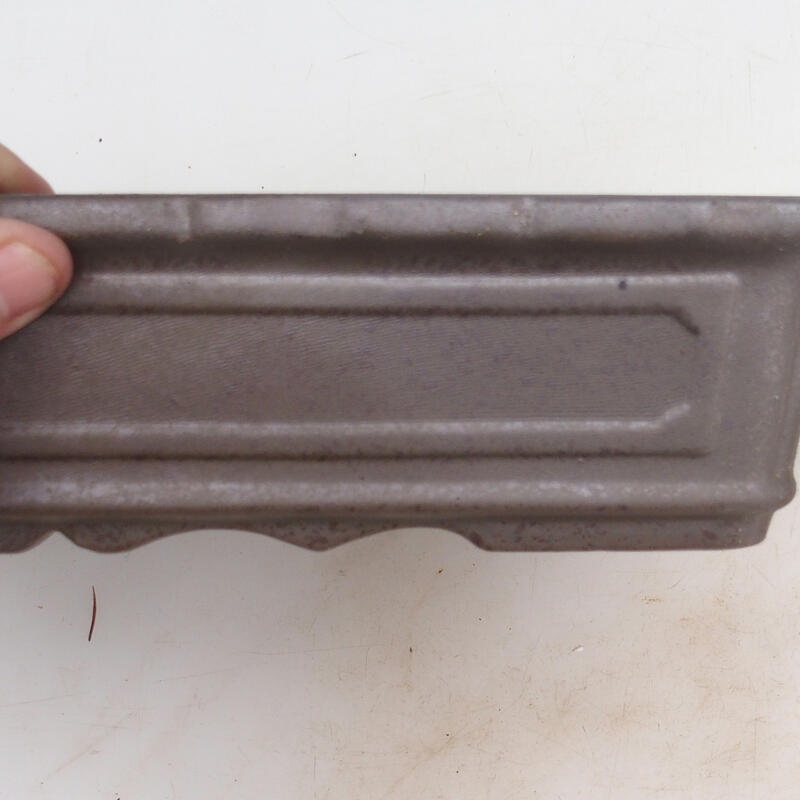 Bol pour bonsaï 31 x 23 x 6,5 cm, couleur naturelle