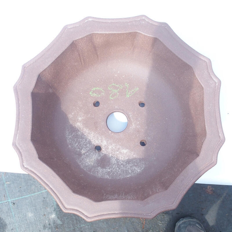 Bol pour bonsaï 31 x 31 x 9 cm