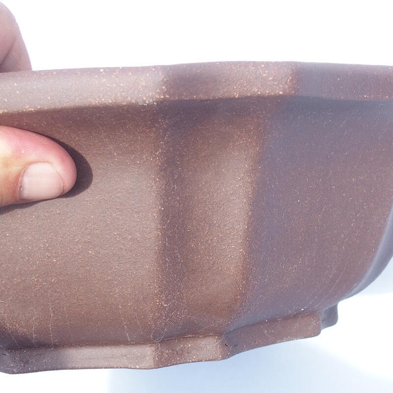 Bol pour bonsaï 31 x 31 x 9 cm