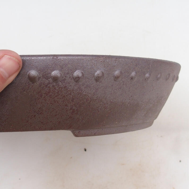 Bol pour bonsaï 33 x 26 x 5,5 cm, couleur naturelle