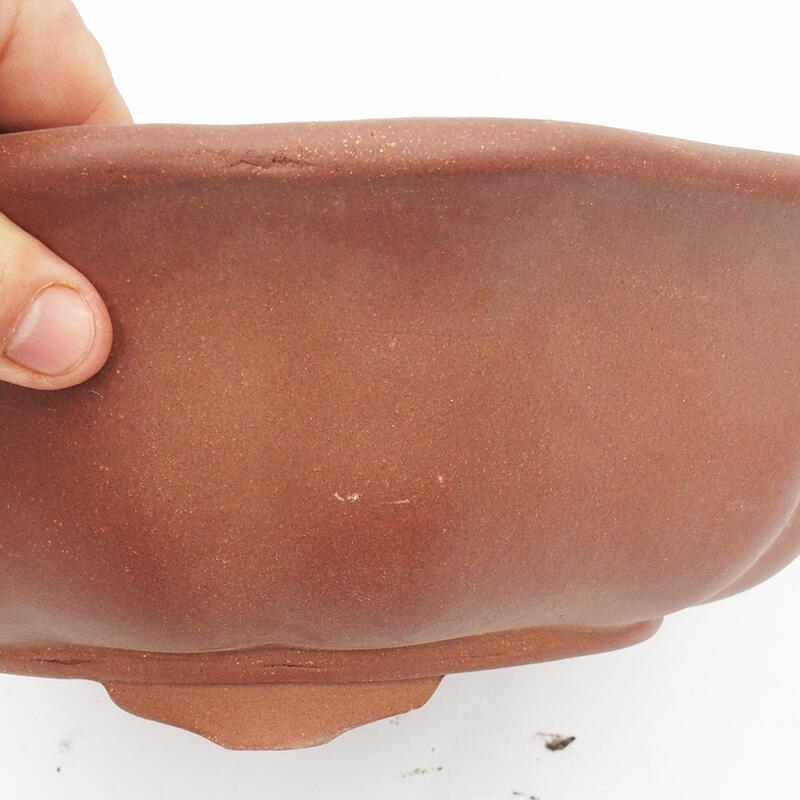 Bol pour bonsaï 33 x 33 x 10 cm - Qualité japonaise