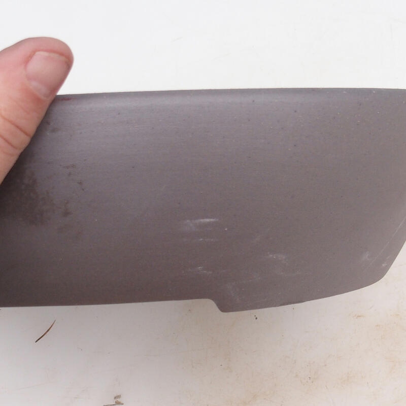 Bol pour bonsaï 34 x 27 x 7,5 cm, couleur naturelle