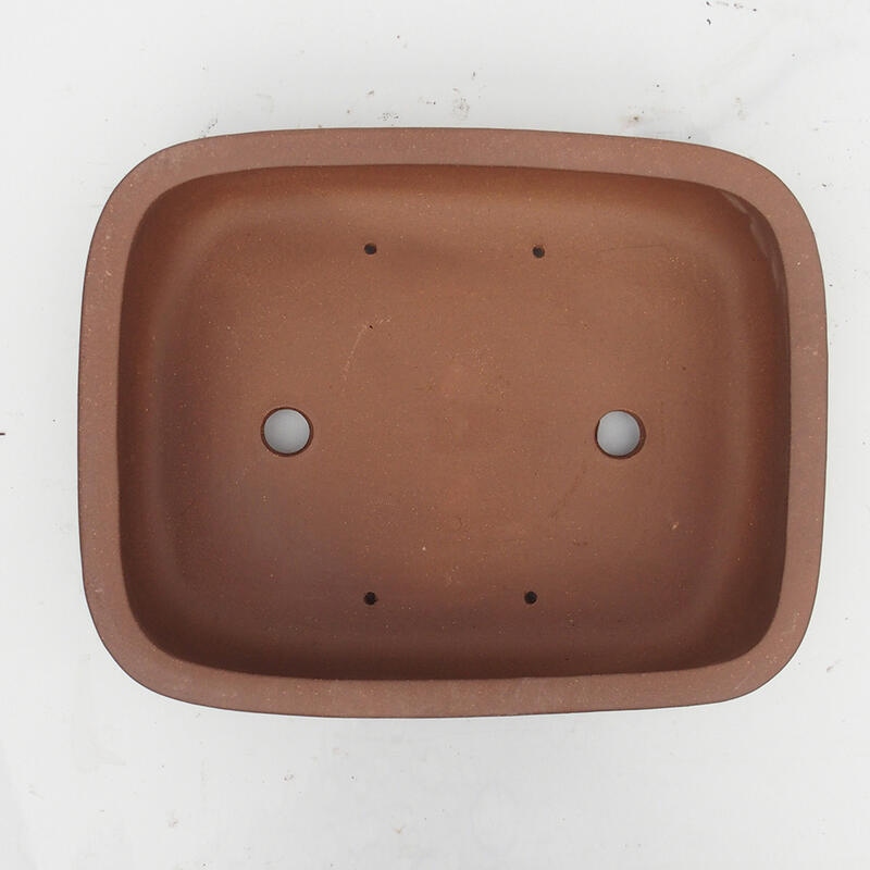 Bol pour bonsaï 34 x 27 x 9 cm - Qualité japonaise