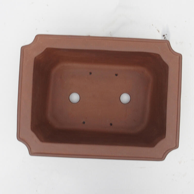 Bol pour bonsaï 35 x 26 x 12 cm - Qualité japonaise