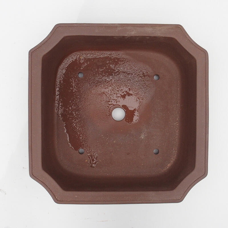 Bol pour bonsaïs 35 x 35 x 10 cm - Qualité japonaise