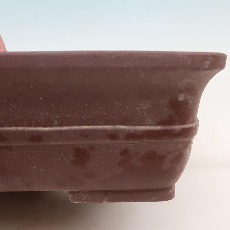 Bol pour bonsaï 36,5 x 30 x 9,5 cm, couleur marron