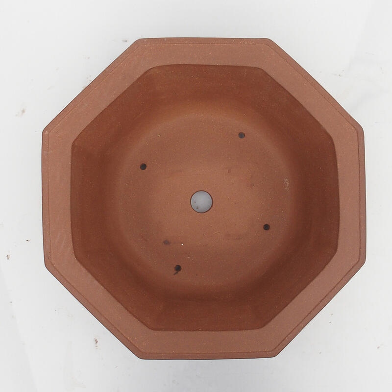 Bol pour bonsaï 36 x 34 x 12 cm - Qualité japonaise