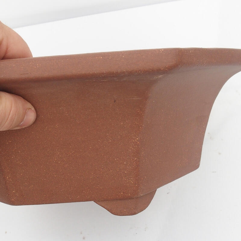 Bol pour bonsaï 36 x 34 x 12 cm - Qualité japonaise