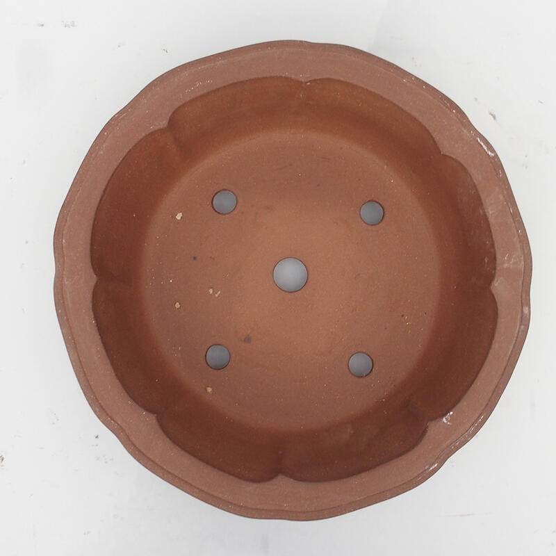 Bol pour bonsaï 36 x 36 x 10 cm - Qualité japonaise