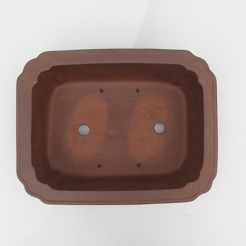 Bol pour bonsaï 37 x 28,5 x 12,5 cm - Qualité japonaise