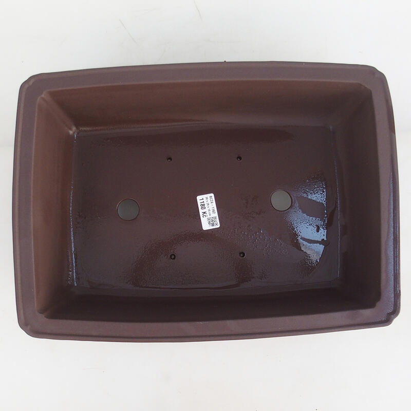 Bol pour bonsaï 39 x 28 x 11 cm, brun