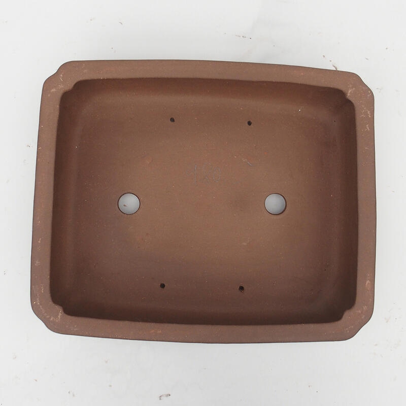 Bol pour bonsaï 39 x 33 x 11 cm - Qualité japonaise