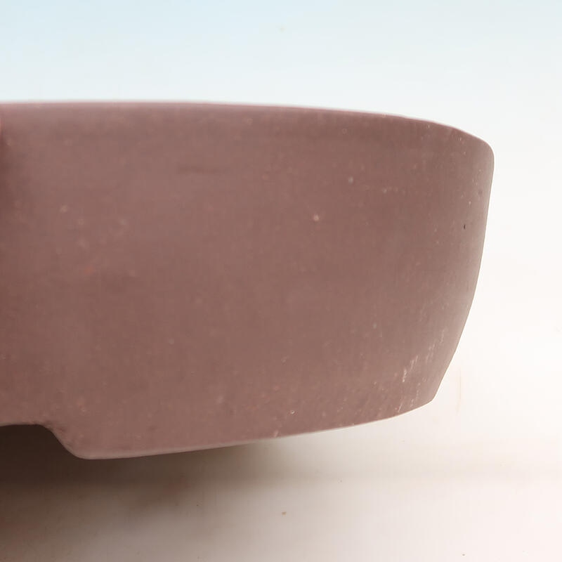 Bol pour bonsaï 40 x 32 x 8 cm, brun