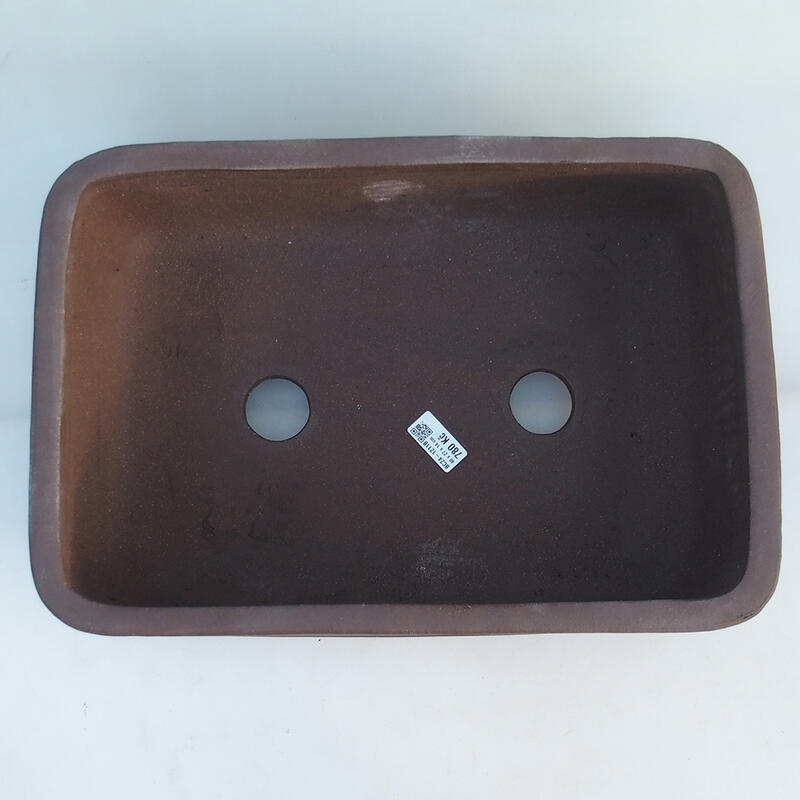 Bol pour bonsaï 41,5 x 28 x 14 cm, couleur marron-transport par palette uniquement