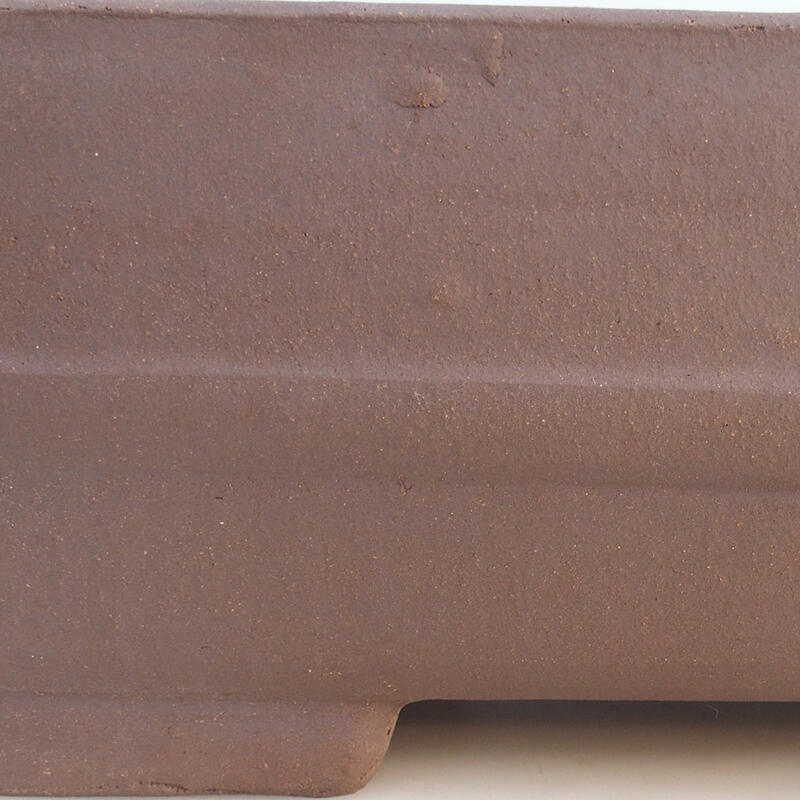 Bol pour bonsaï 41,5 x 28 x 14 cm, couleur marron-transport par palette uniquement