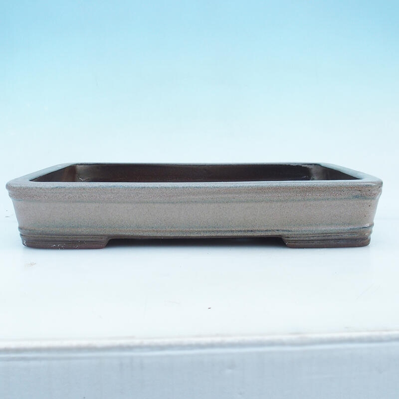 Pot à bonsaï 41 x 28 x 7 cm, couleur beige