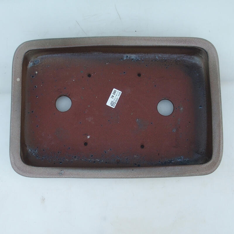 Pot à bonsaï 41 x 28 x 7 cm, couleur beige