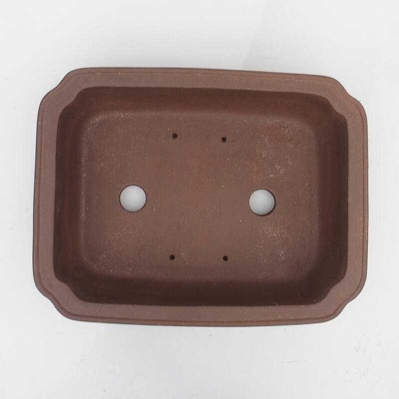 Bol pour bonsaï 43 x 32 x 11 cm - Qualité japonaise