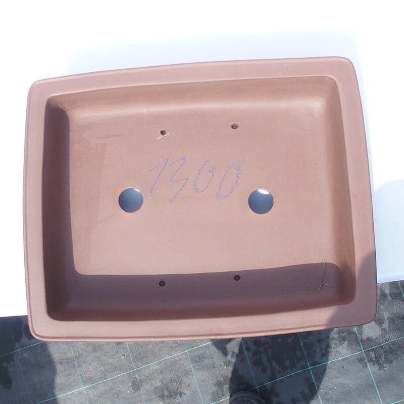 Bol pour bonsaï 45 x 36 x 11 cm