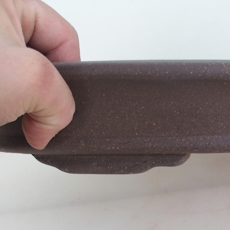 Bol pour bonsaï 47 x 31 x 6 cm, couleur naturelle