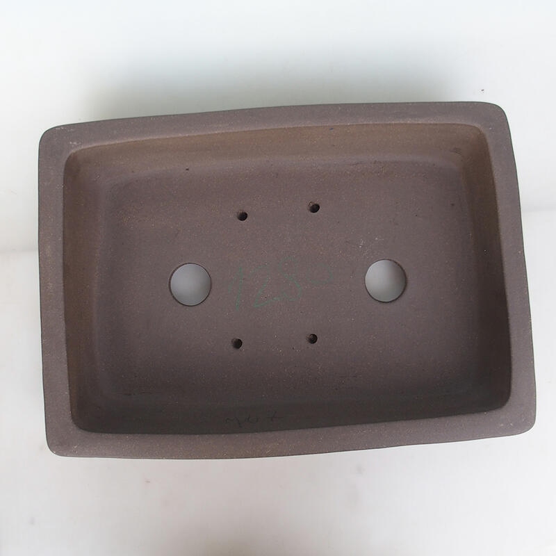 Bol pour bonsaï 50 x 36 x 10 cm, couleur naturelle