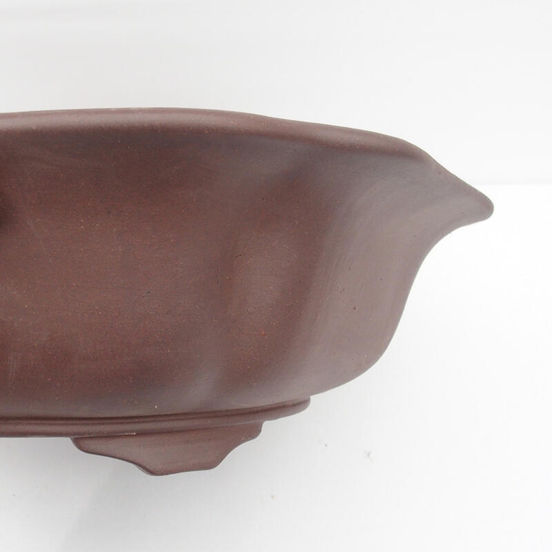 Bol pour bonsaï 50 x 47 x 14 cm - Qualité japonaise