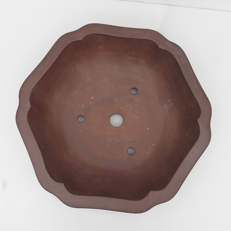 Bol pour bonsaï 50 x 47 x 14 cm - Qualité japonaise