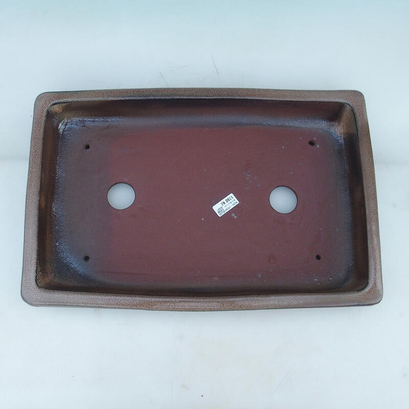 Bol bonsaï 51 x 33,5 x 8,5 cm, couleur marron - transport par palette uniquement