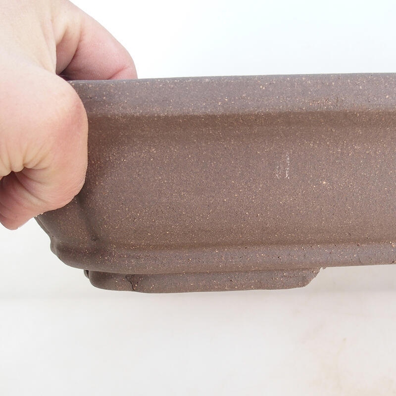 Bol pour bonsaï 51 x 33,5 x 8 cm, couleur naturelle