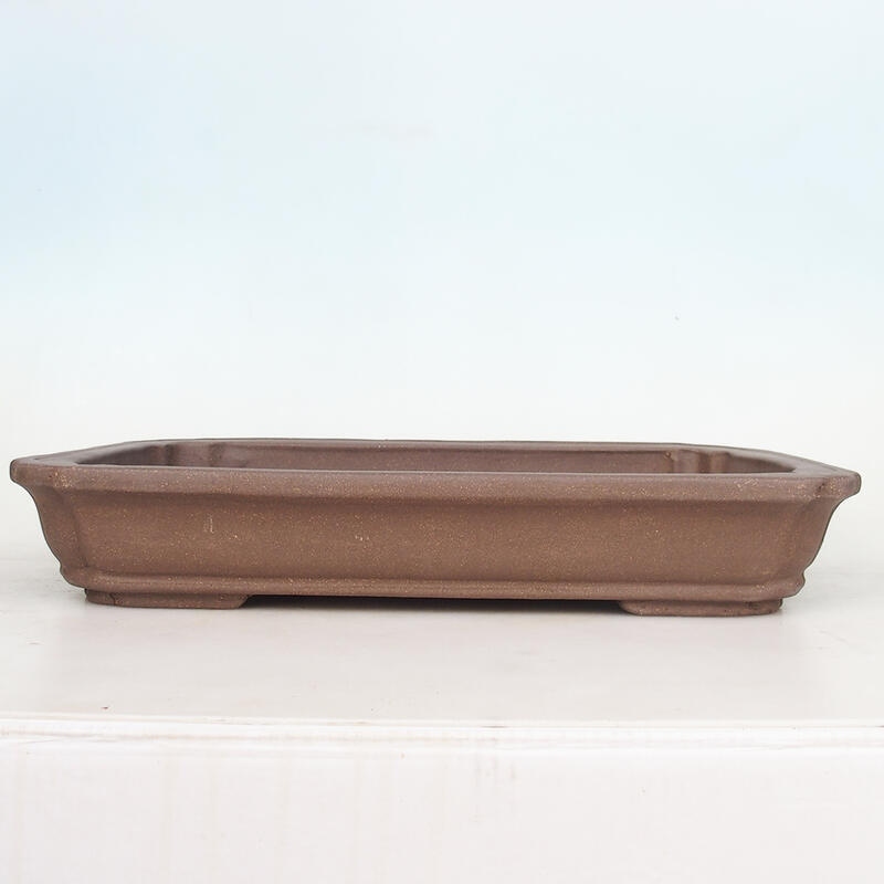 Bol pour bonsaï 51 x 33,5 x 8 cm, couleur naturelle