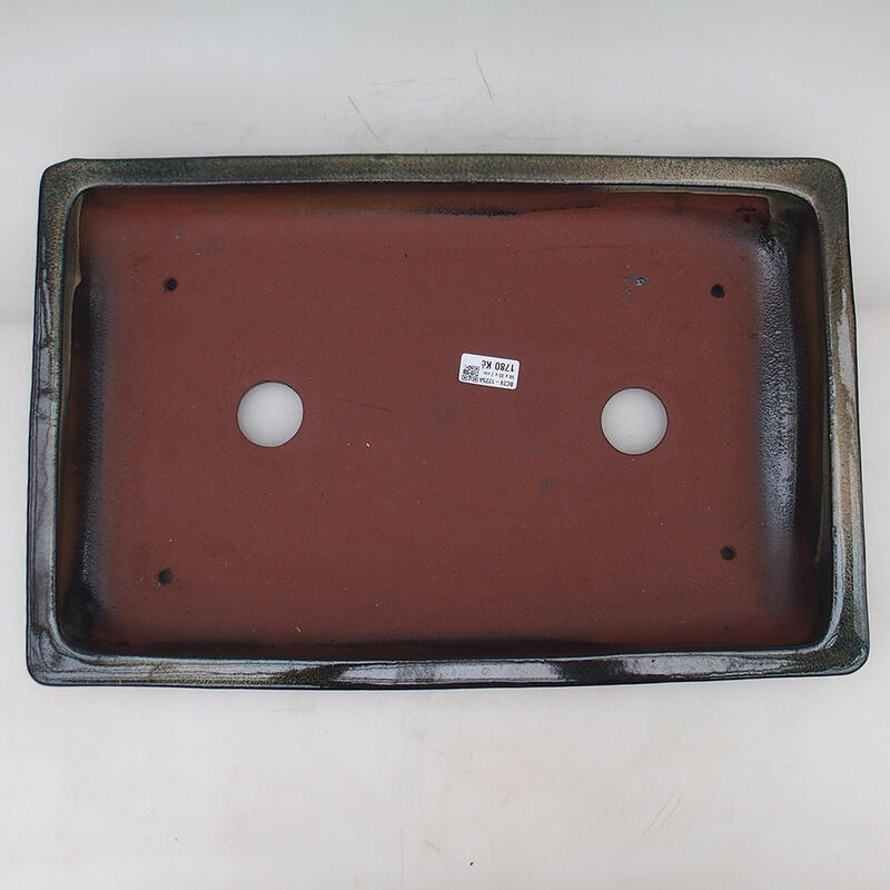 Bol bonsaï 51 x 33 x 8 cm, bleu-vert - transport par palette uniquement