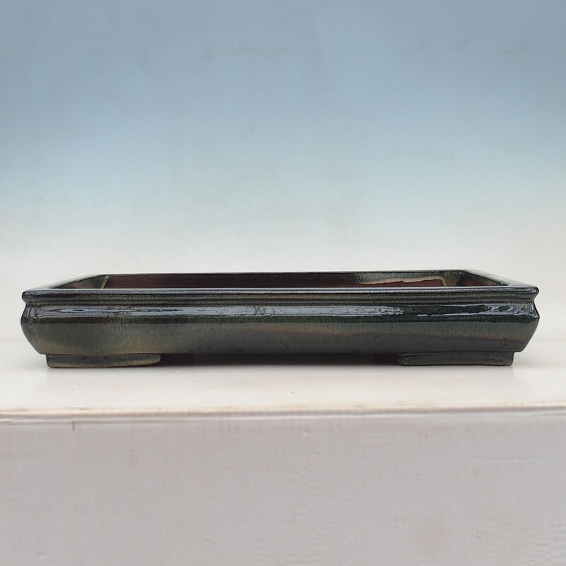 Bol bonsaï 51 x 33 x 8 cm, bleu-vert - transport par palette uniquement