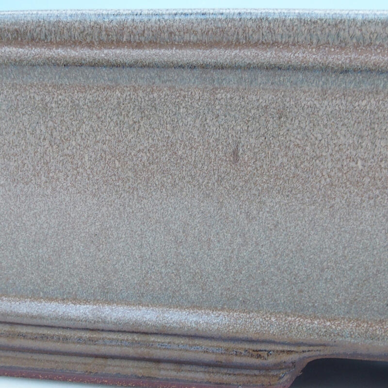 Bol bonsaï 51 x 34 x 10,5 cm, couleur beige - transport par palette uniquement