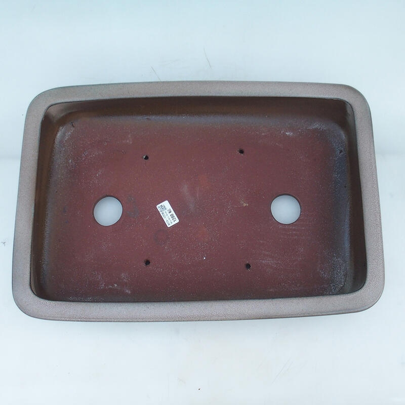 Bol bonsaï 51 x 34 x 10,5 cm, couleur beige - transport par palette uniquement