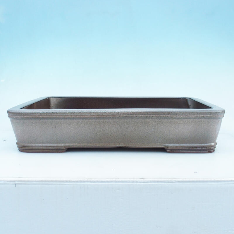 Bol bonsaï 51 x 34 x 10,5 cm, couleur beige - transport par palette uniquement