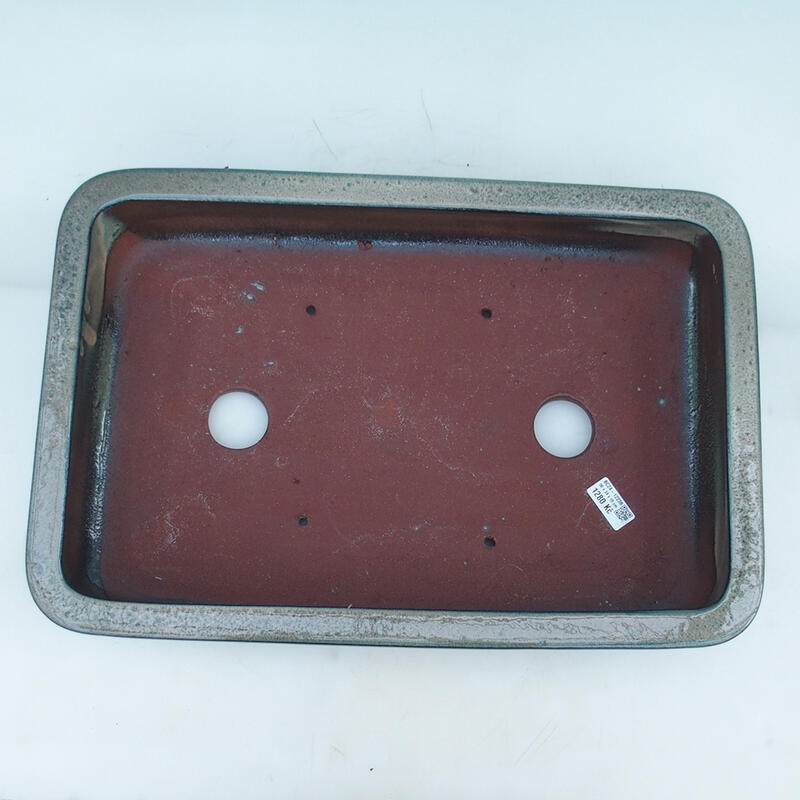 Bol bonsaï 51 x 34 x 10,5 cm, beige-vert - transport par palette uniquement