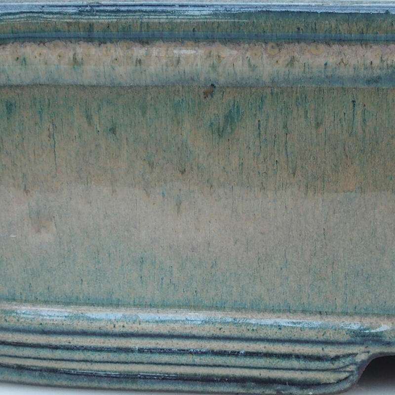 Bol bonsaï 51 x 34 x 10,5 cm, beige-vert - transport par palette uniquement