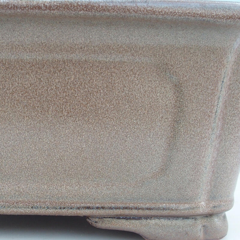 Bol bonsaï 51 x 35,5 x 16 cm, couleur marron - transport par palette uniquement