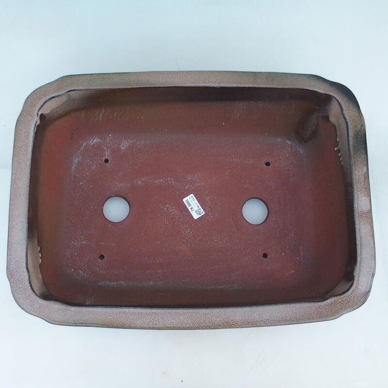 Bol bonsaï 51 x 35,5 x 16 cm, couleur marron - transport par palette uniquement